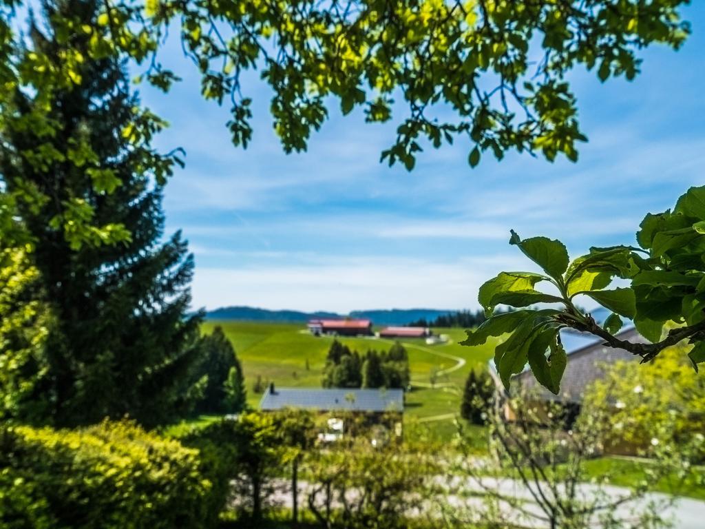 Maly'S Ferienwohnung Sulzberg  Exteriér fotografie